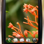 palmpre